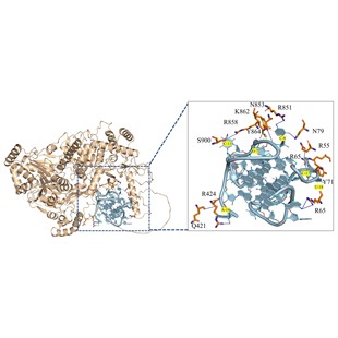分子对接虚拟筛选原理,方法答疑解惑