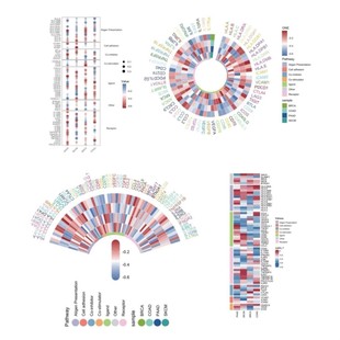 专业生信分析服务 科研项目数据分析 可加急 资深团队