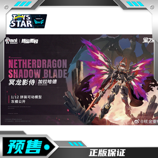 迅合行定金核核金重构X星之翼1/12冥龙影侍加拉哈德拼装模型