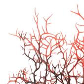 鱼之家厂家直销塑料仿真珊瑚树铁树鱼缸装 饰造景水族箱布景CT爆款