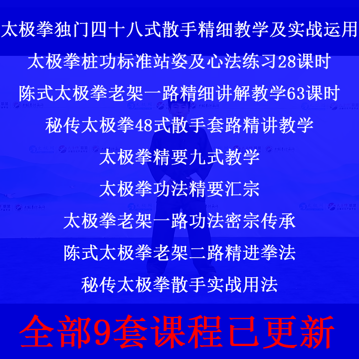 郑佳琦太极拳独门四十八式散手48式散手精细教学视频桩功慢练快打