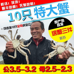 【家庭装】洪湖大闸蟹特大2.5母3.5公螃蟹湖蟹河蟹清水红膏蟹