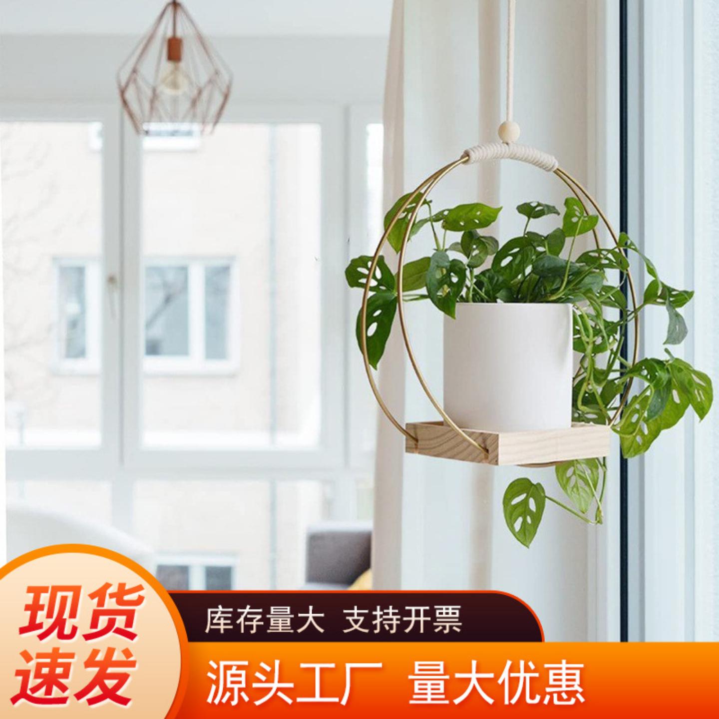 创意木制吊挂铁艺花盆水培植物