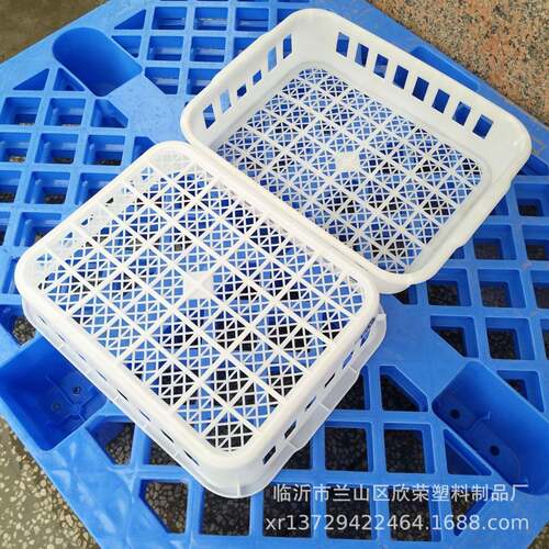 四川香菇蘑菇采摘筐食品菌菇筐12