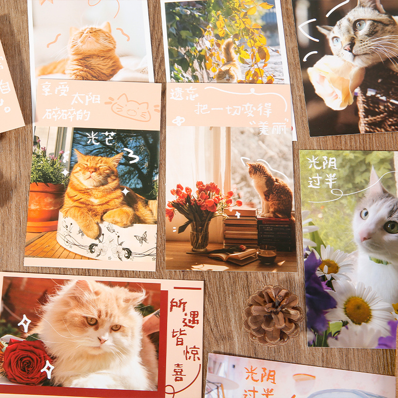 可爱猫咪摄影治愈插画明信片30张