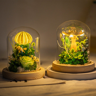 爆款发光海胆壳水母灯生日礼物氛围高级感小夜灯ins