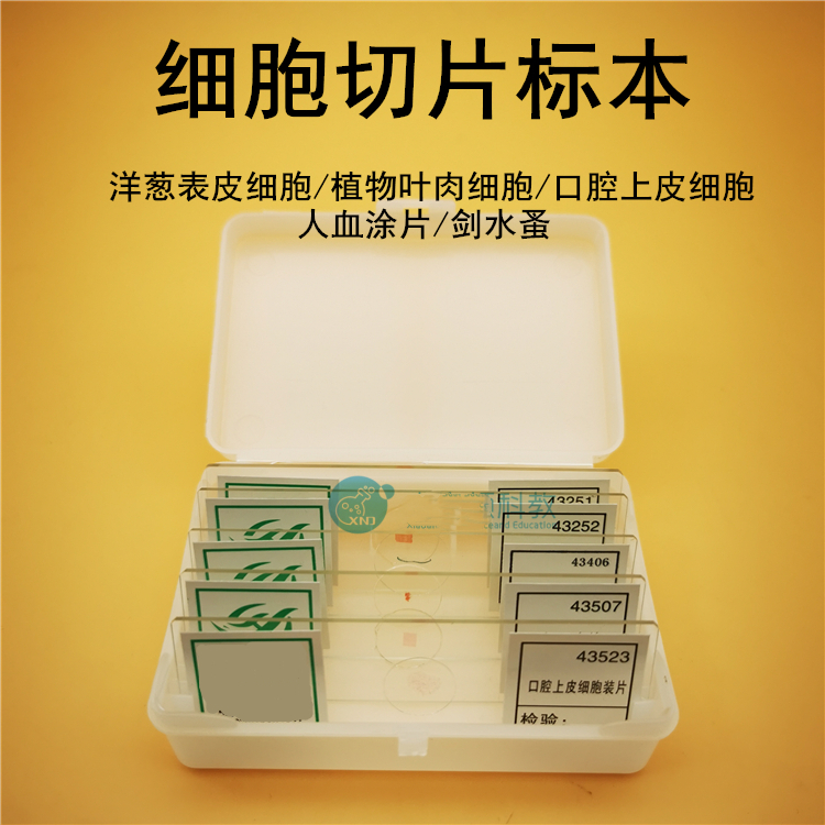 生物切片标本盒含洋葱,植物叶,口腔上皮等细胞标本