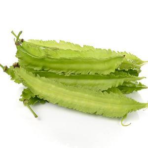 新鲜四棱豆顺丰空运鲜嫩