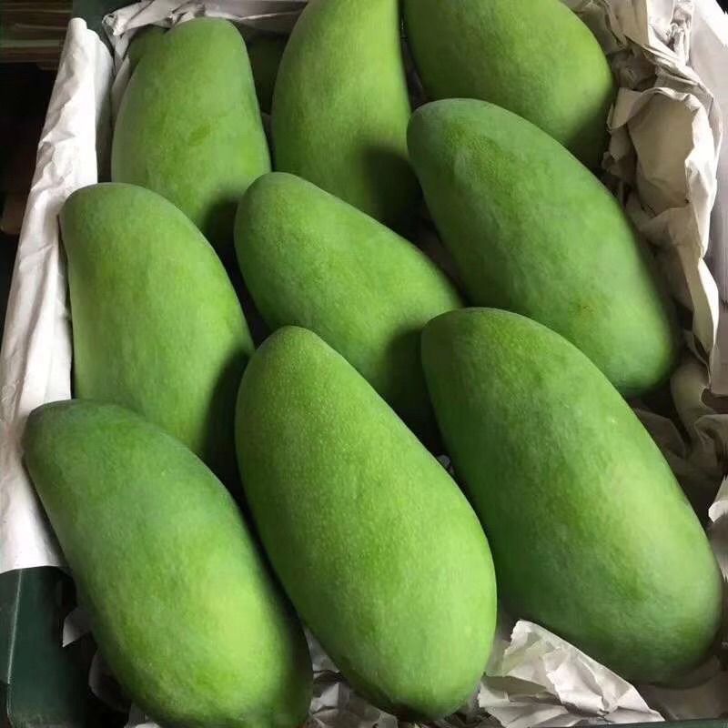 越南大青芒当季新鲜水果芒果青芒纯无丝生吃甜脆熟吃甜糯顺丰空运