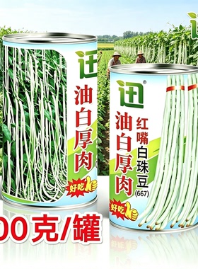 油白厚肉红嘴白珠豆角种子中早熟高产顺直耐老化长采收长豇豆角籽