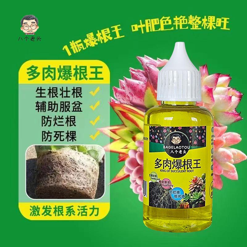 多肉爆根王快速生根液壮苗剂多肉植物专用养花水肥营养液