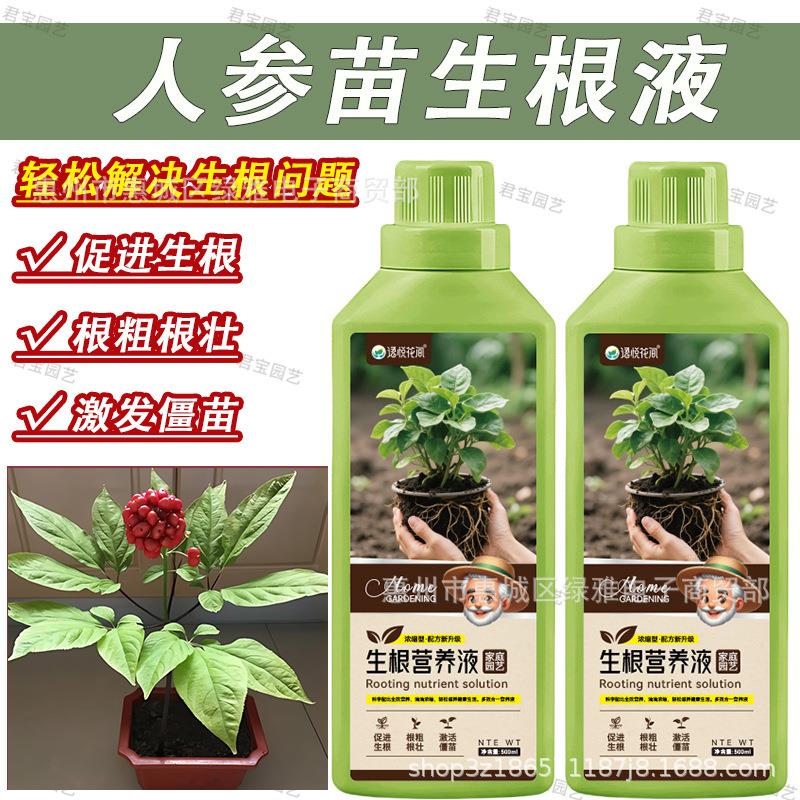 人参苗生根液水培植物通用营养液室内园艺盆栽养花专用肥料生根液