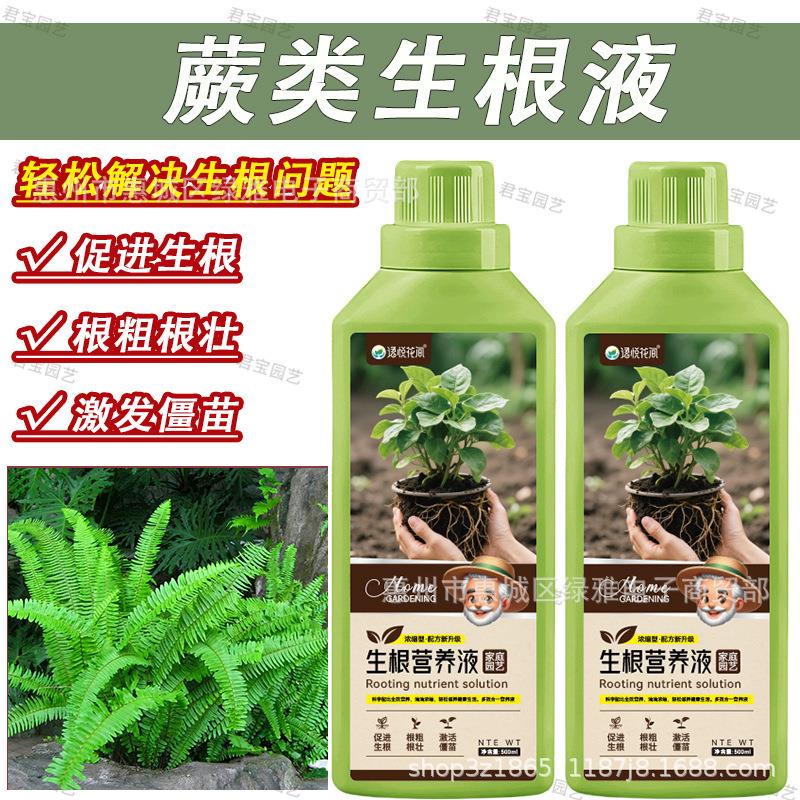 蕨类生根液水培植物通用营养液室内园艺盆栽养花专用肥料生根液