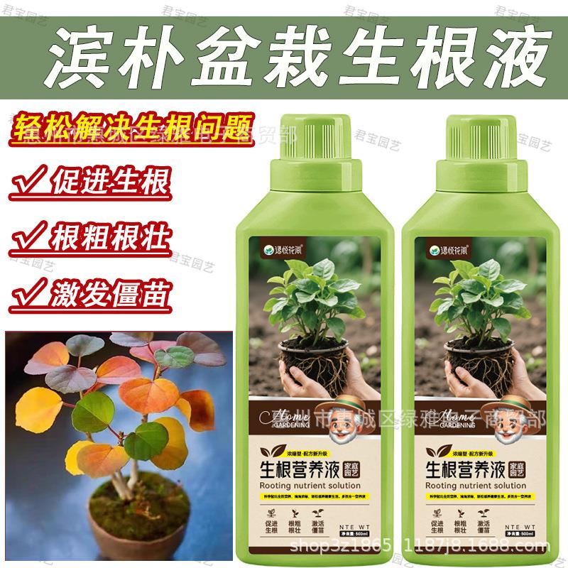 滨朴盆栽生根液水培植物通用营养液室内园艺盆栽养花专用肥料生根