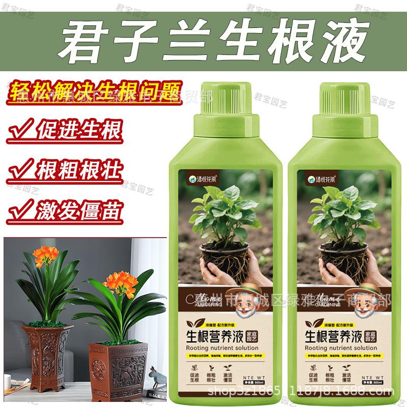 君子兰生根液水培植物通用营养液室内园艺盆栽养花专用肥料生根液