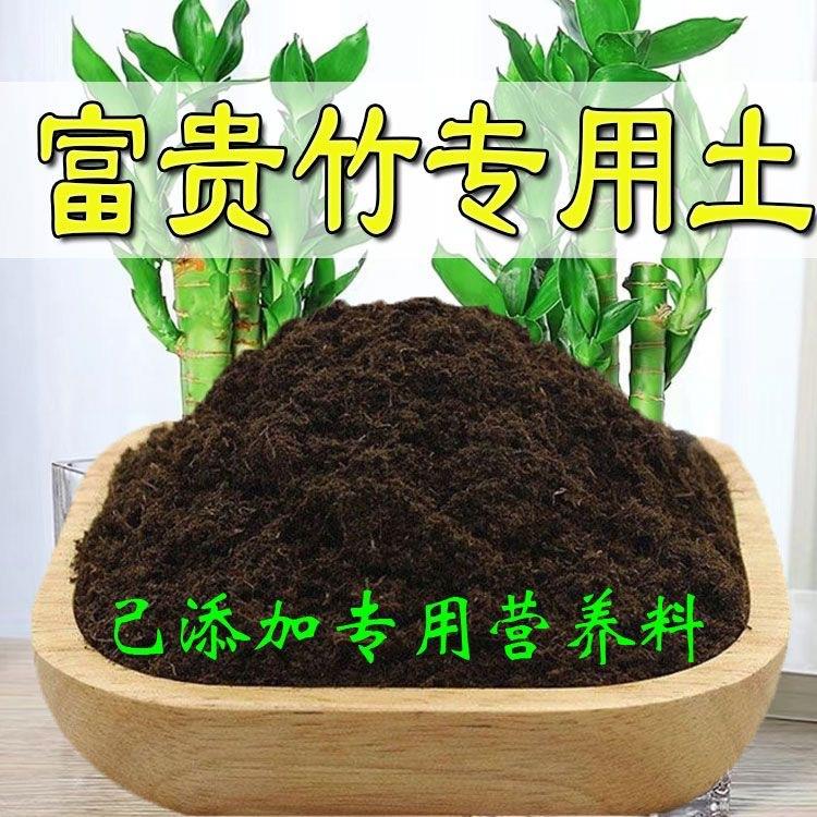富贵竹适用营养土养花种绿植发酵育苗土盆栽有机肥土透气增肥疏松