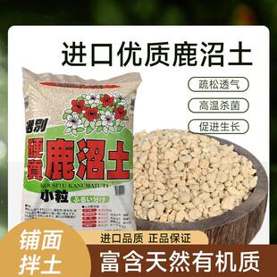 进口园艺硬质鹿沼土多肉盆景兰花土专用纯颗粒铺面石颗粒土大包装
