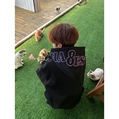 免费试穿~潮牌字母刺绣连帽卫衣