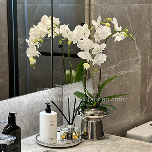 蝴蝶兰盆栽带花兰花室内客厅阳台花卉绿植好养易活 植物开花花苞