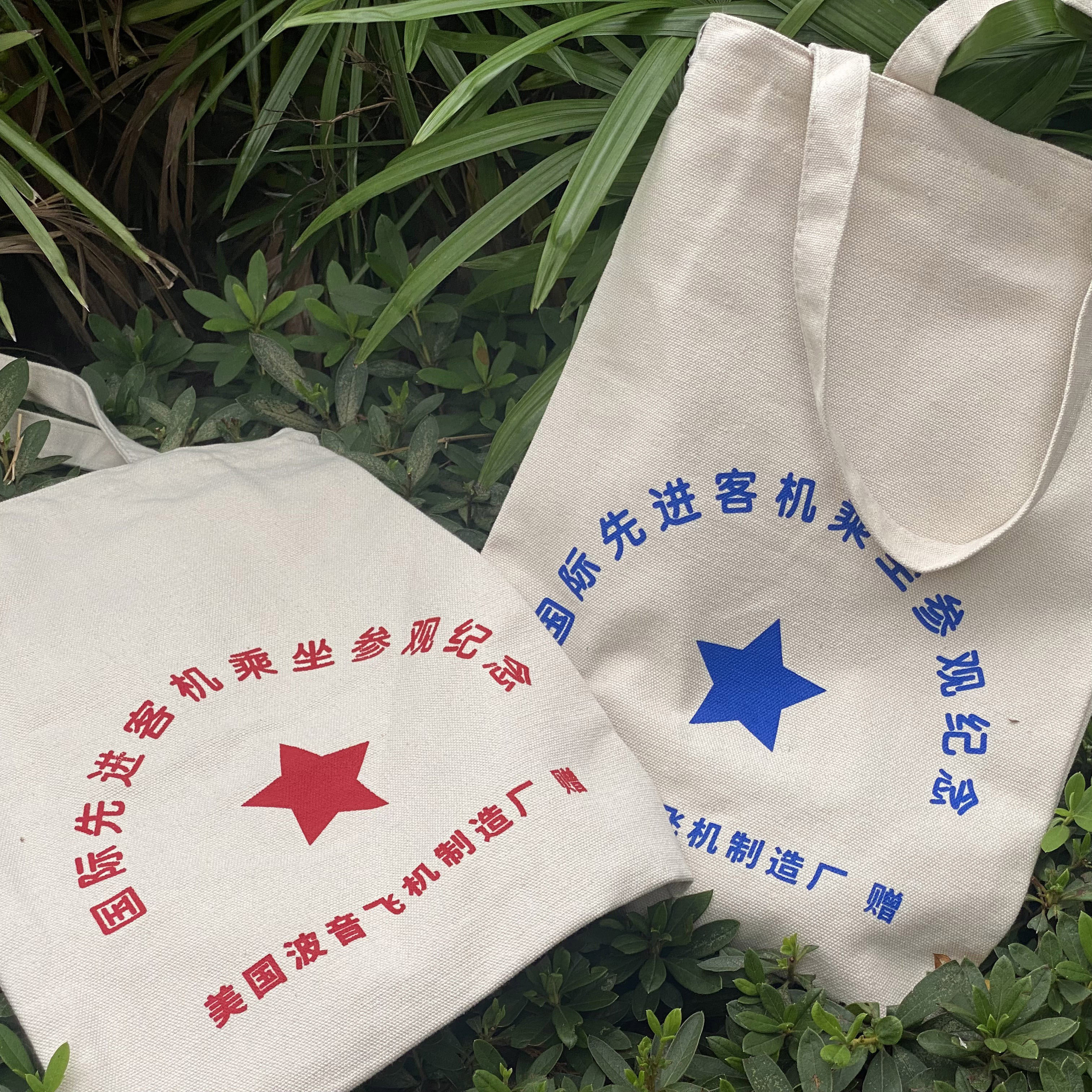 航空主题趣味帆布袋旅行手提袋办公家用环保袋纪念购物袋