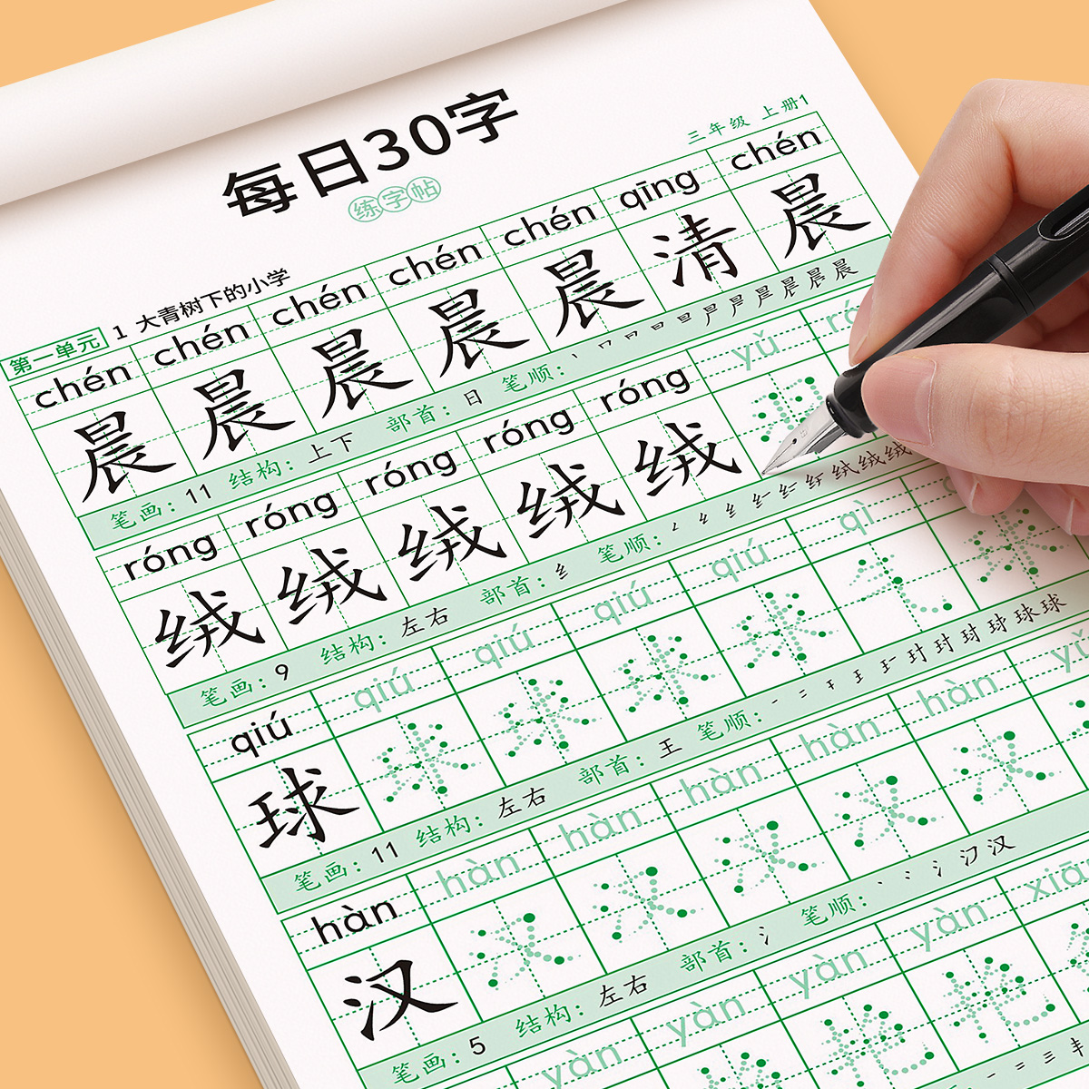 三年级每日30字同步语数英练字帖