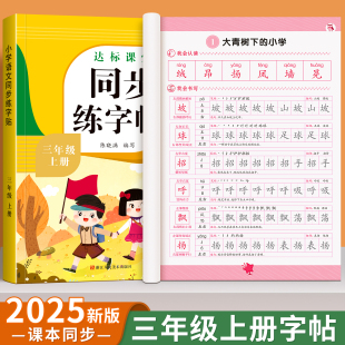 2025新版 每日一練筆畫筆順生字帖楷書描紅臨摹練習字帖課課練3上學期鋼筆硬筆書法 三年級上冊同步練字帖小學生專用字帖語文人教版
