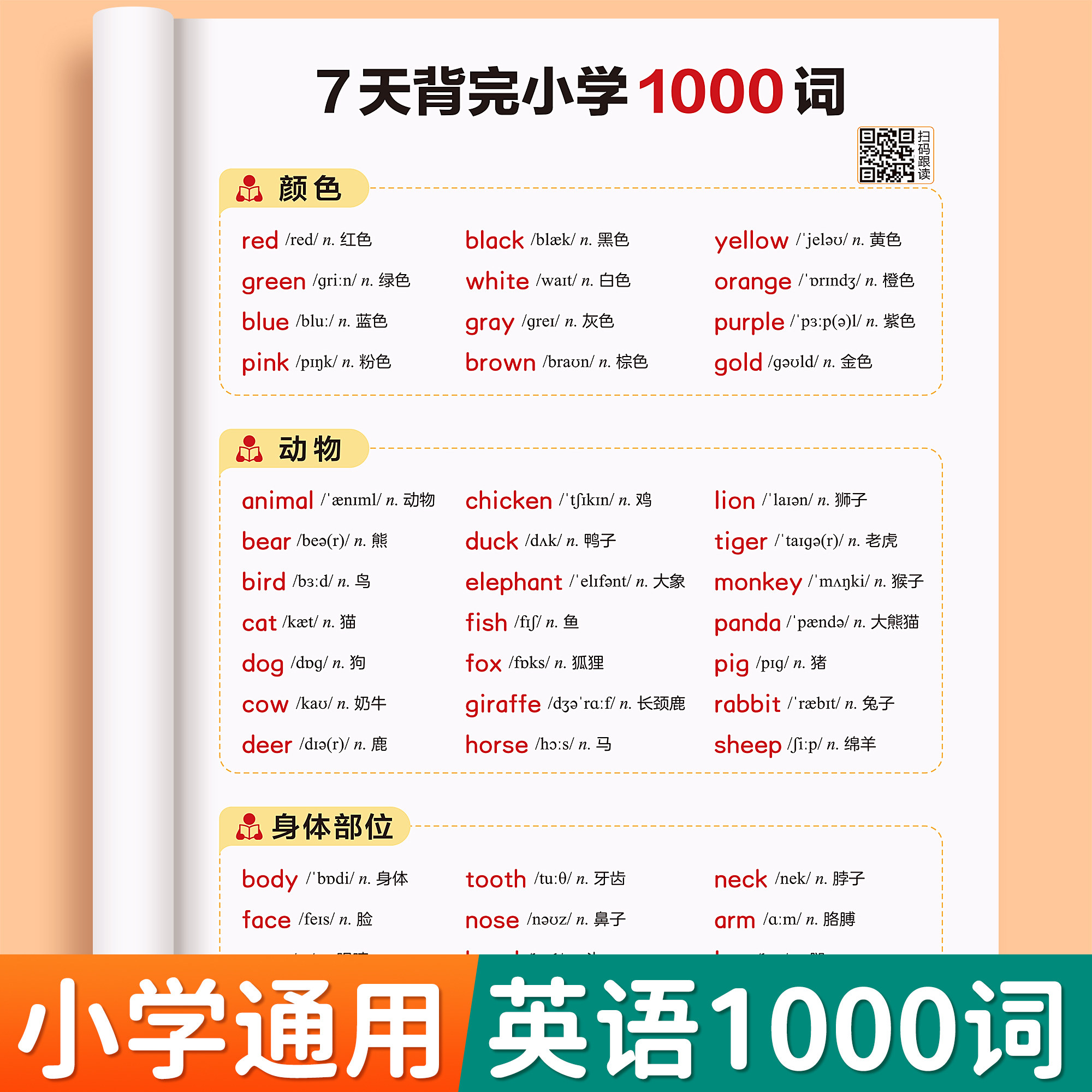 小学英语知识归纳总结三四五六年级必背单词短语对话句型词汇记背1000词核心知识点汇总表英语单词每日晨读大全音频伴读速记手册本 - 实物图
