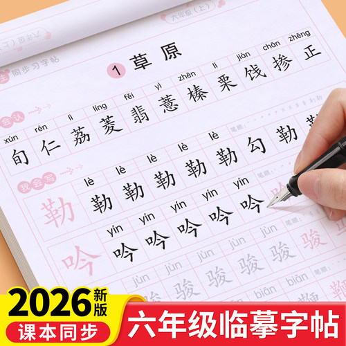 六年级同步练字帖人教版每日一练
