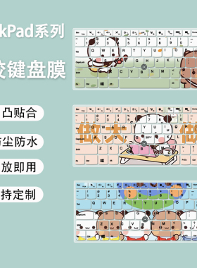 适用联想ThinkPadE475按键E465笔记本E455防尘垫E43笔记本键盘膜