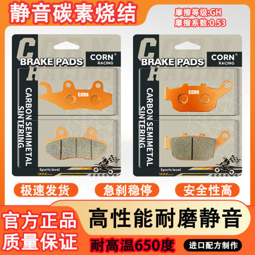 适用隆鑫无极200AC/R LX200-18-19 碳素烧结静音耐磨耐高温刹车片