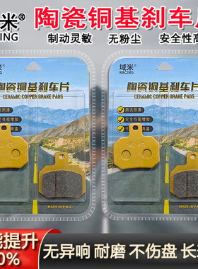 适用极核AE2/AE4/AE5/AE6/AE8/EZ3i陶瓷耐磨耐高温雨天防滑刹车片