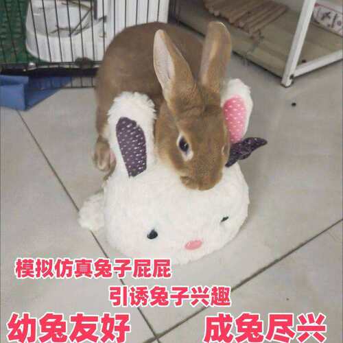 宠物兔子发情成年兔子发泄趴趴兔毛绒玩具兔子伴侣公兔子解闷玩具