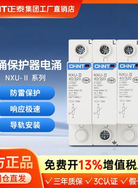 正泰浪涌保护器电涌NXU-ⅡG 40kA/440V 电源防雷家用避雷器3P 4P