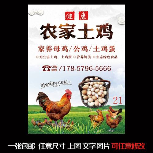 土鸡蛋图片设计定制喷绘布