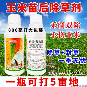 大农大风沙玉米地苗后除草专用剂硝磺莠去津草烂根禾阔草双除农药