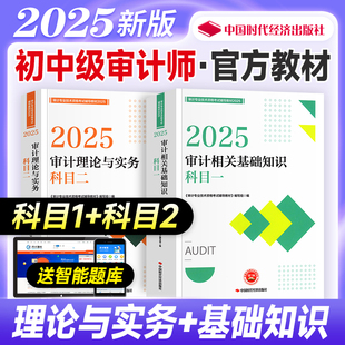 官方备考2026年审计师考试教材辅导书审计理论与实务专业相关知识初级中级通用搭历年真押题库模拟试卷2025版审计专业技术资格考试