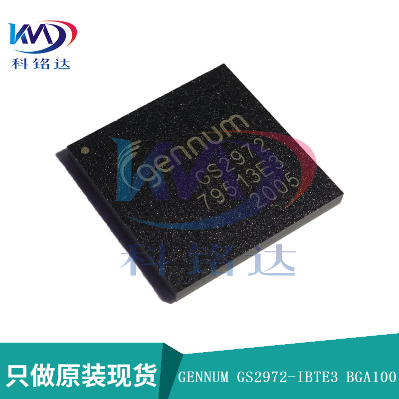 全新原装GENNUM GS2972-IBTE3 BGA100 GS2972 实物拍摄 假一赔十