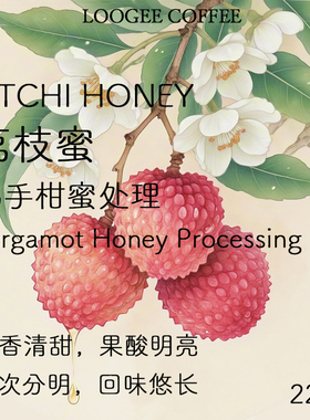 鹿吉 新产季云南佛手柑蜜处理精品手冲美式咖啡豆新鲜烘焙227g