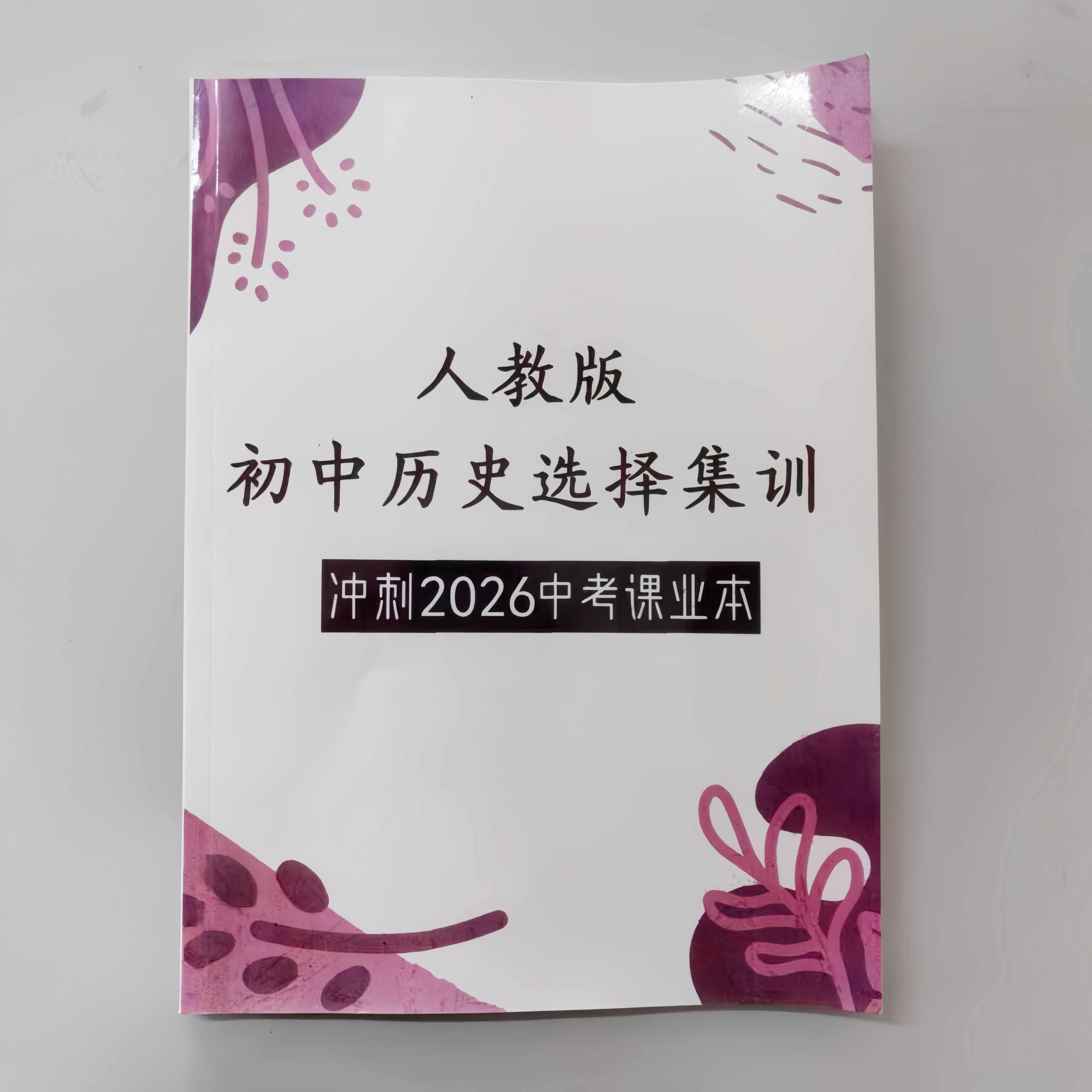 2026初中人教版中考历史选择题集训冲刺总复习总结训练特训带答案