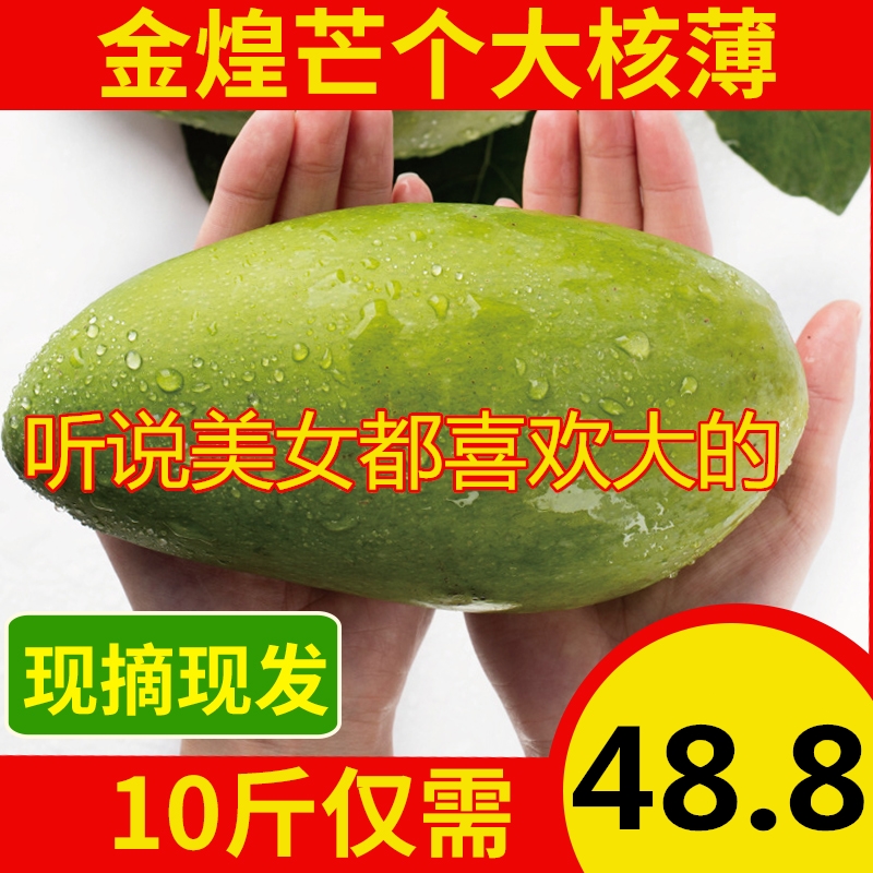金煌芒果新鮮包郵廣西特大青芒10斤整箱5斤現摘水果批發當季整箱