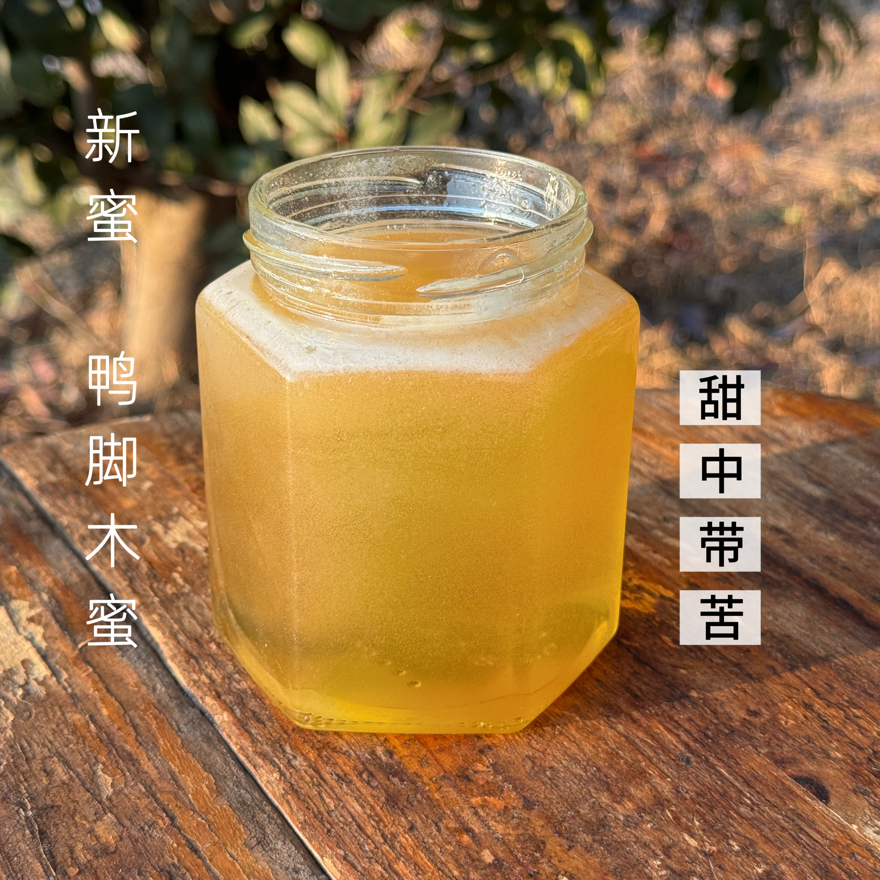 【鸭脚木蜜】冬蜜苦蜜蜂蜜纯正天然农家自产土蜂蜜花香浓郁口感好