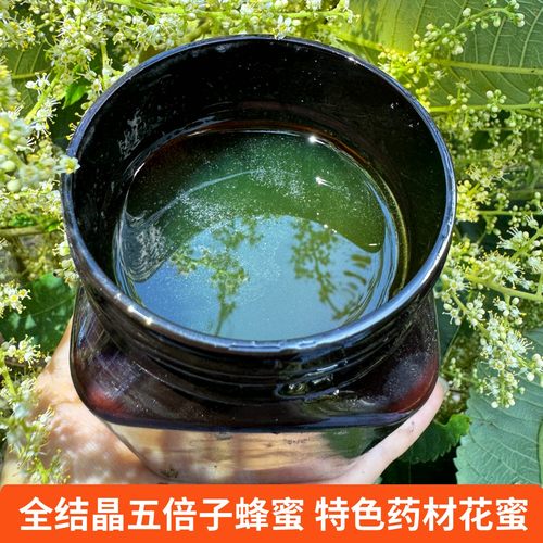 【五倍子蜜】特色中药材蜂蜜药花蜜纯正宗天然农家自产500g1斤装