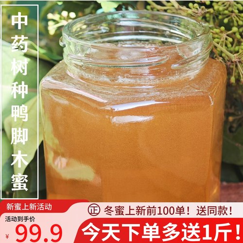 【鸭脚木蜜】冬蜜苦蜜 正宗土蜂蜜！特色中药树种植物蜜 花香浓郁