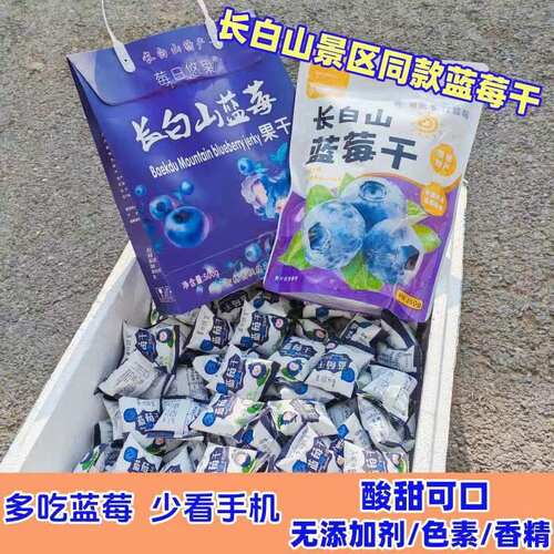 机场同款长白山特产蓝莓果干