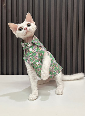 萌萌的小猪衬衫有没有吸引到你