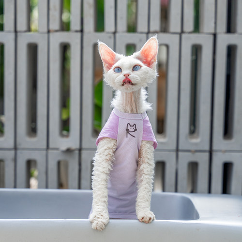 任发财网眼户外速干凉凉衣无毛猫衣服德文衣服斯芬克斯猫空调服