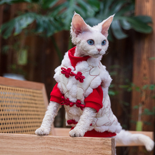 任发财 德文新年猫衣服绗棉马甲无毛猫德文暹罗保暖刺绣背心