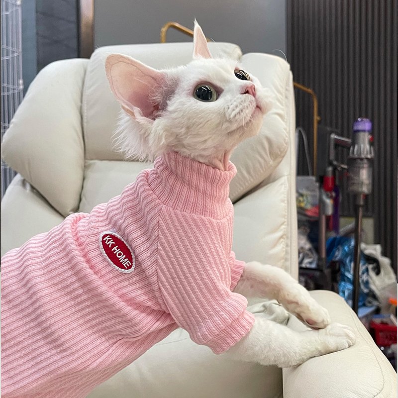 可爱T恤薄款春季新品无毛猫衣服斯芬...