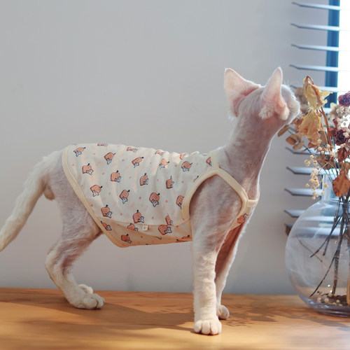 居家卡通小熊饼干吊带任发财纯棉无毛猫衣服德文衣服斯芬克斯猫