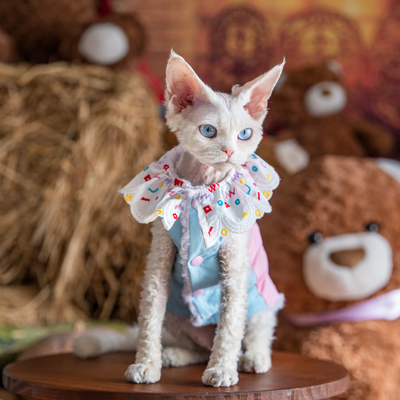 任发财 韩系加厚双层轻薄马甲猫衣服无毛猫德文暹罗保暖背心